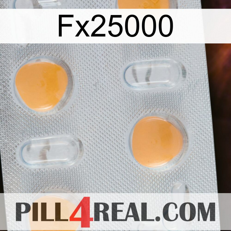 Fx25000 24